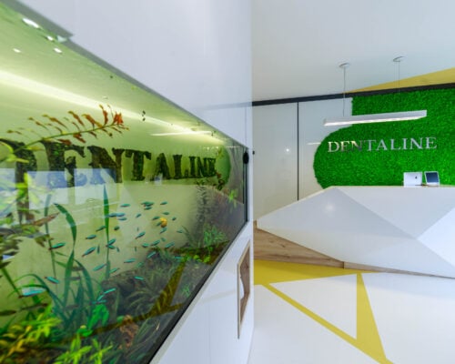 https://dentaline.militariresidenceballroom.ro/despre-noi/